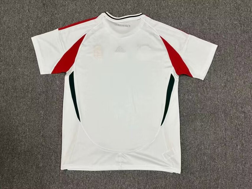 Hungary Away Kit 24/25 Euro Cup 2024 Football Jersey