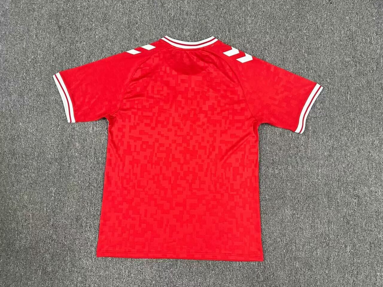 2024 Player Edition Denmark Special Edition Football Jersey